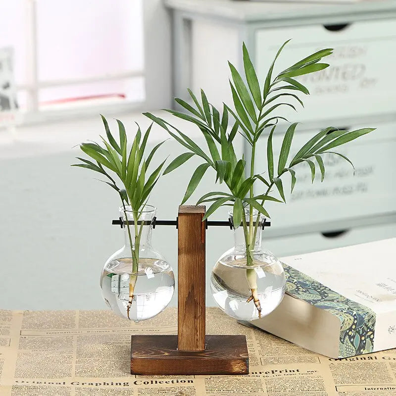 Vintage Plant Terrarium VUATOO