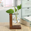 Vintage Plant Terrarium VUATOO